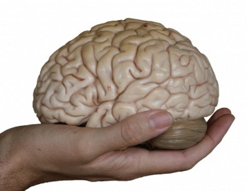 How your hands can help your brains to solve a problem! Hand-holding-brains